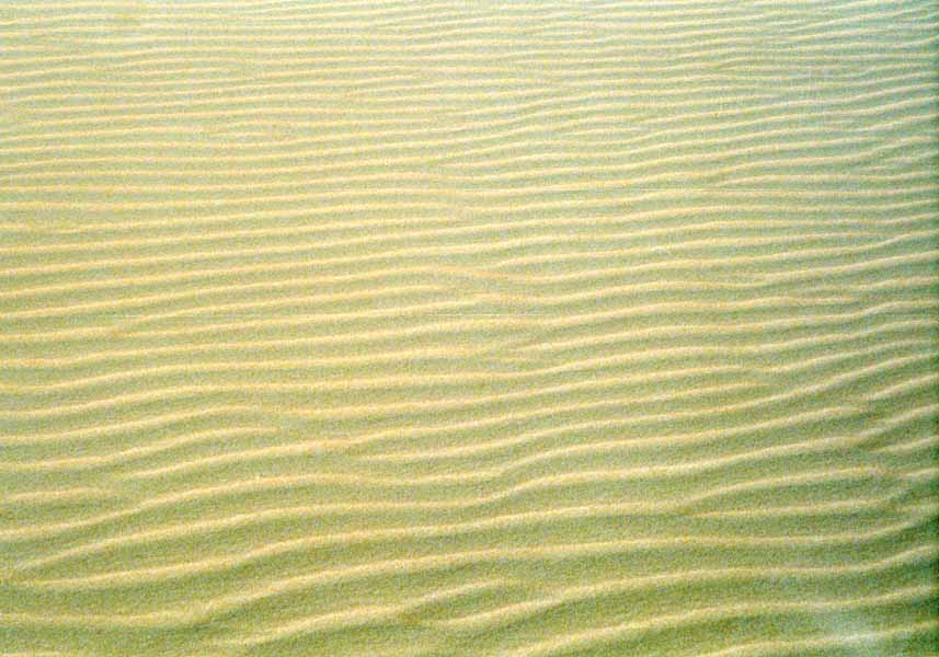 Sandwüste Algerien
