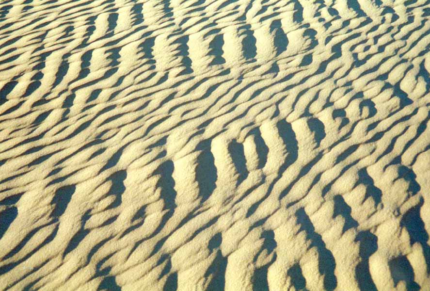 Sandwüste Algerien