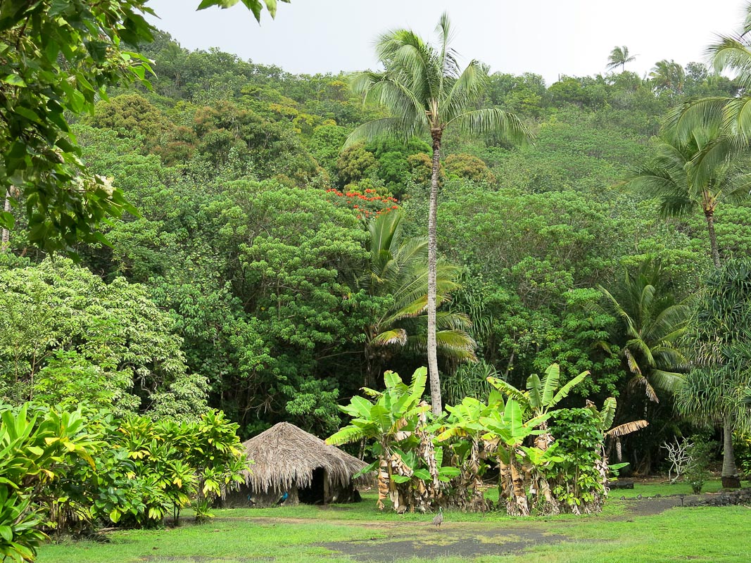 Hawaiianisches Dorf