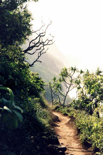 Napali-Trail