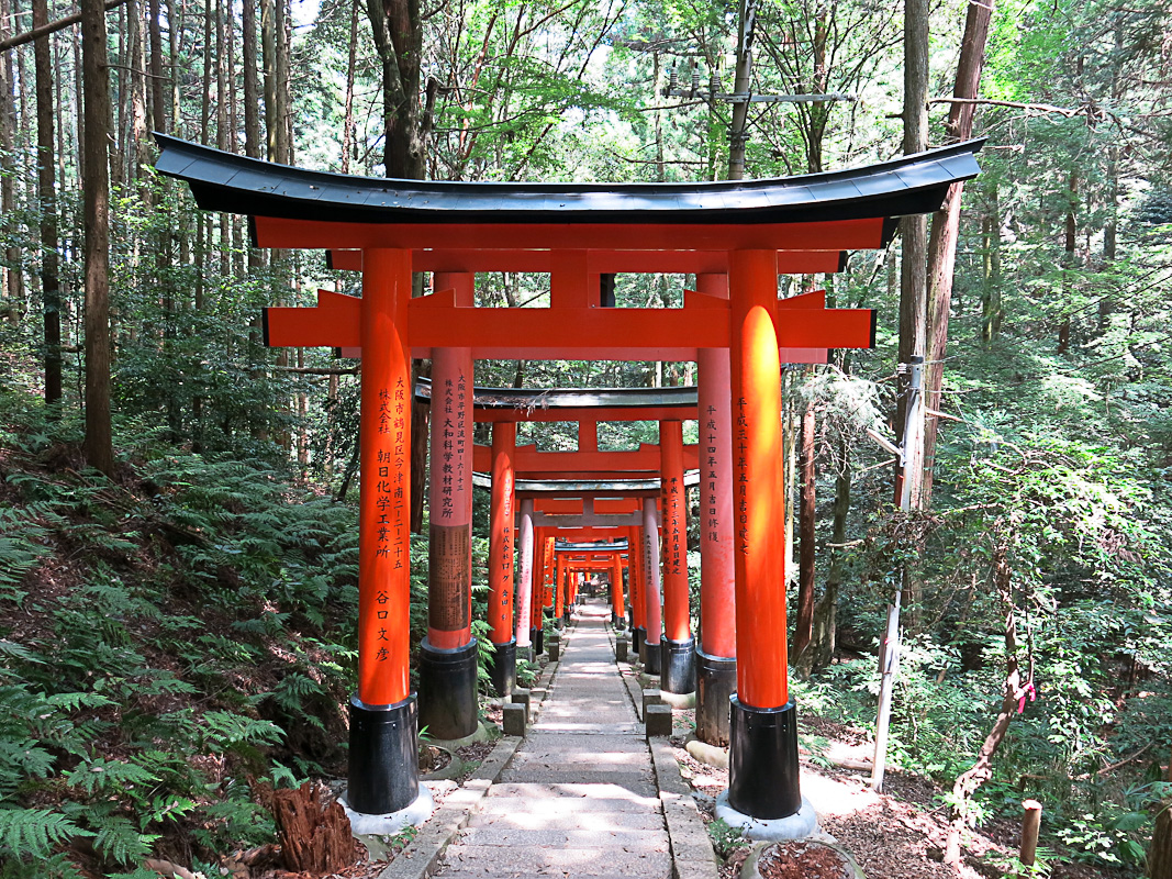 Kyoto Fushima Inari Schrein