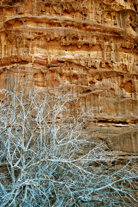 Sandstein im Wadi Rum