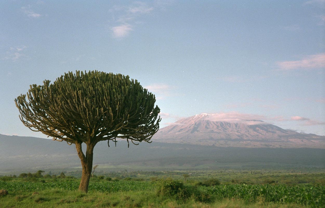 Kilimajaro - Kibo