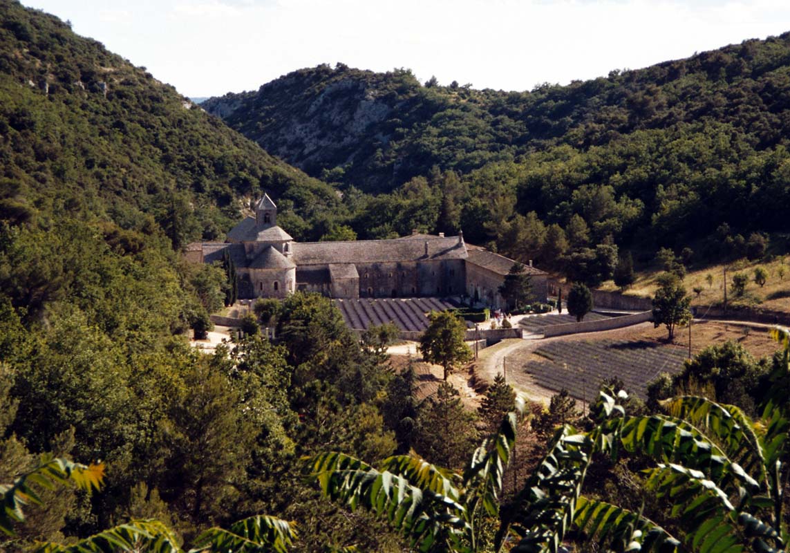 Abbey de Senanque