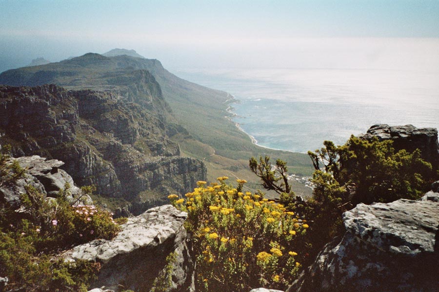 Auf dem Tafelberg