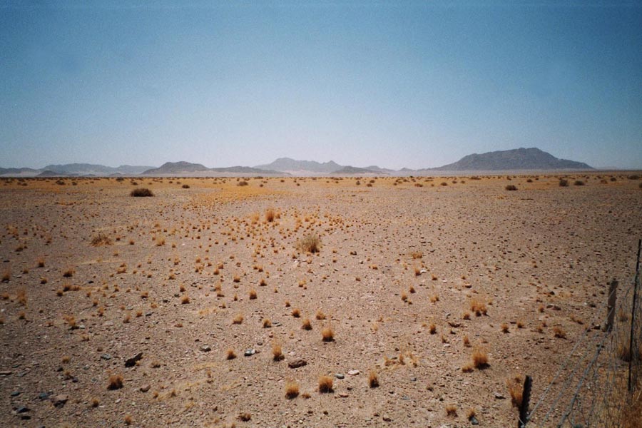 Namib auf dem Weg nach Sessriem