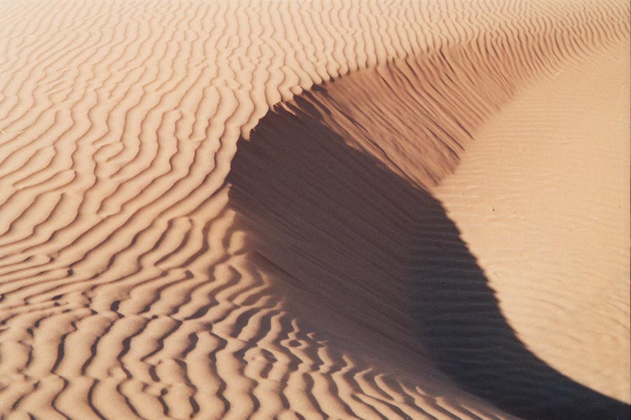 Düne Namib