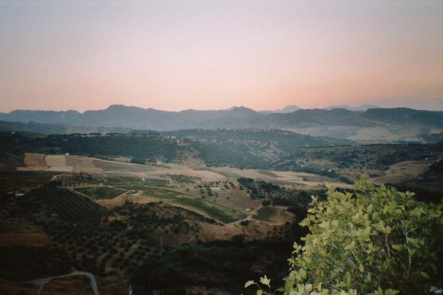 Blick in die Landschaft vor Ronda