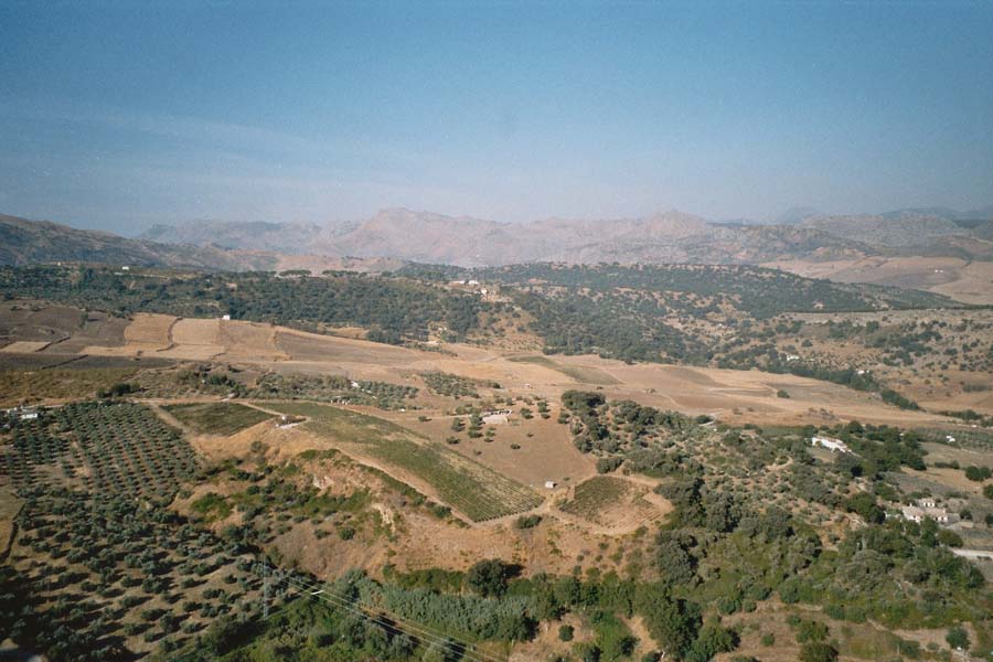 Landschaft vor Ronda