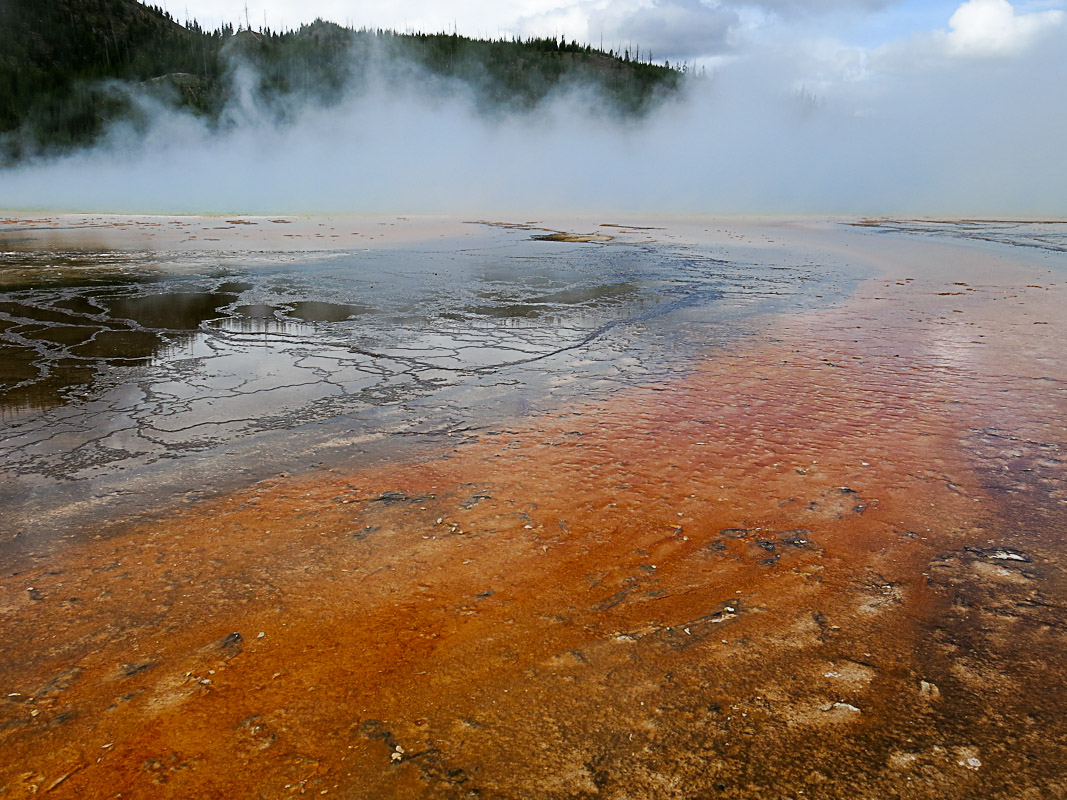 Yellowstone Great Prismatic Spring