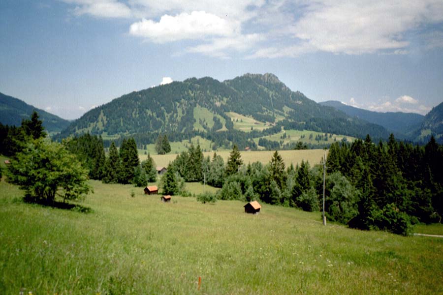 Blick vom Oberjochpass zurck zum Tannheimer Tal